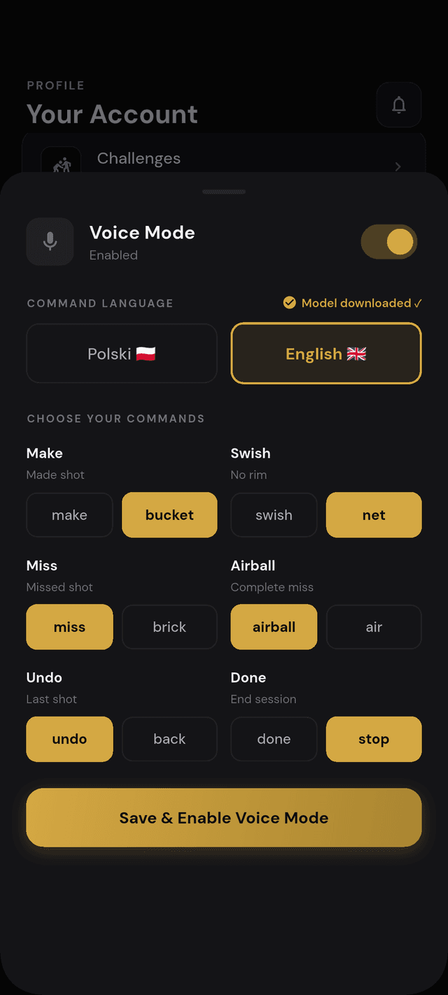 Hooplytics Pro — voice mode